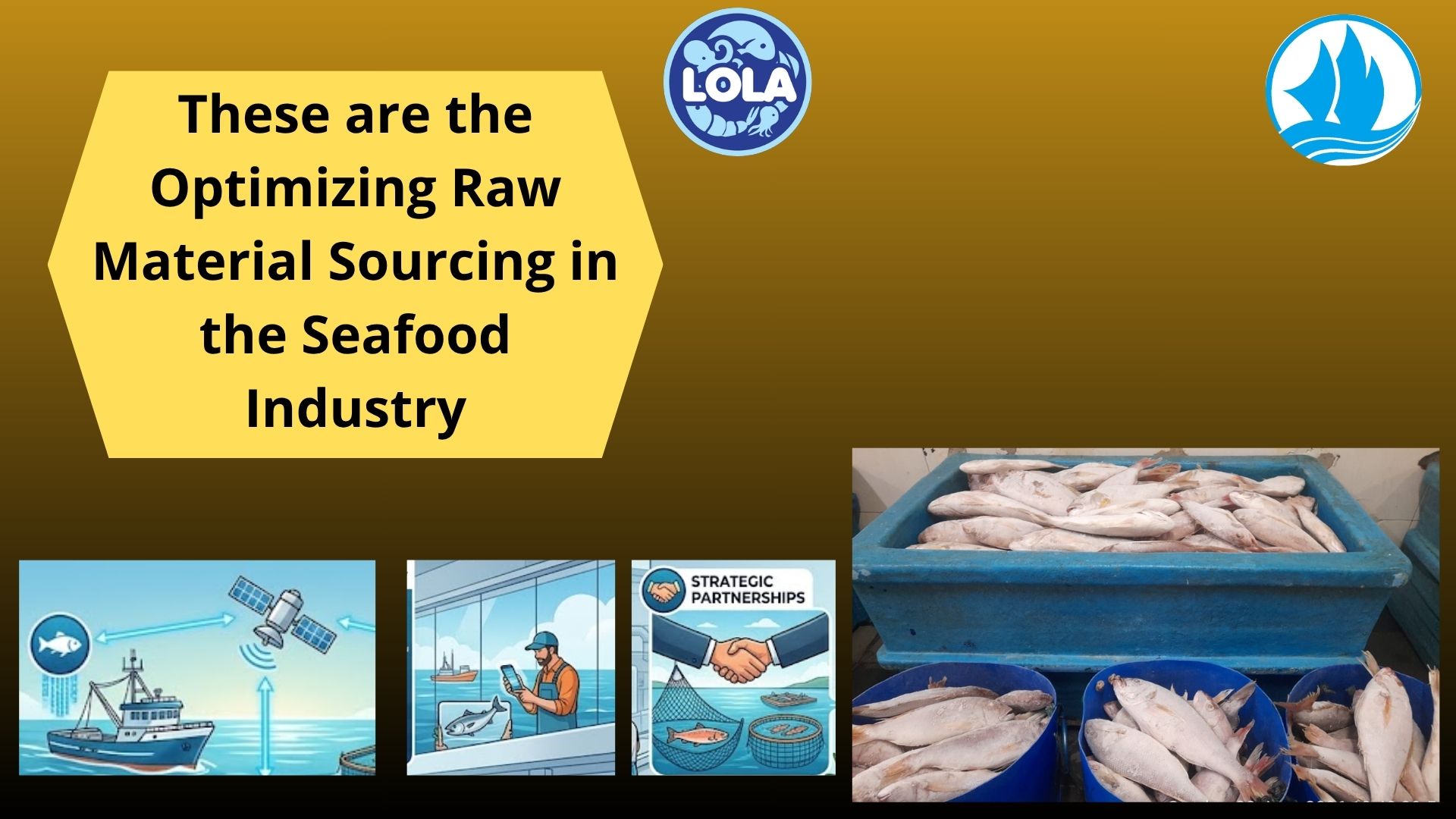  These are the Optimizing Raw Material Sourcing in the Seafood Industry